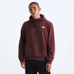 The North Face Men's Evolution Box Brown Hoodie Size Large